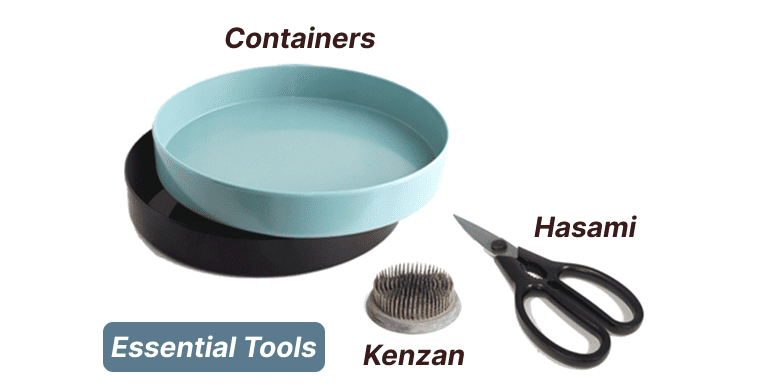 a image of essential tools for ikebana