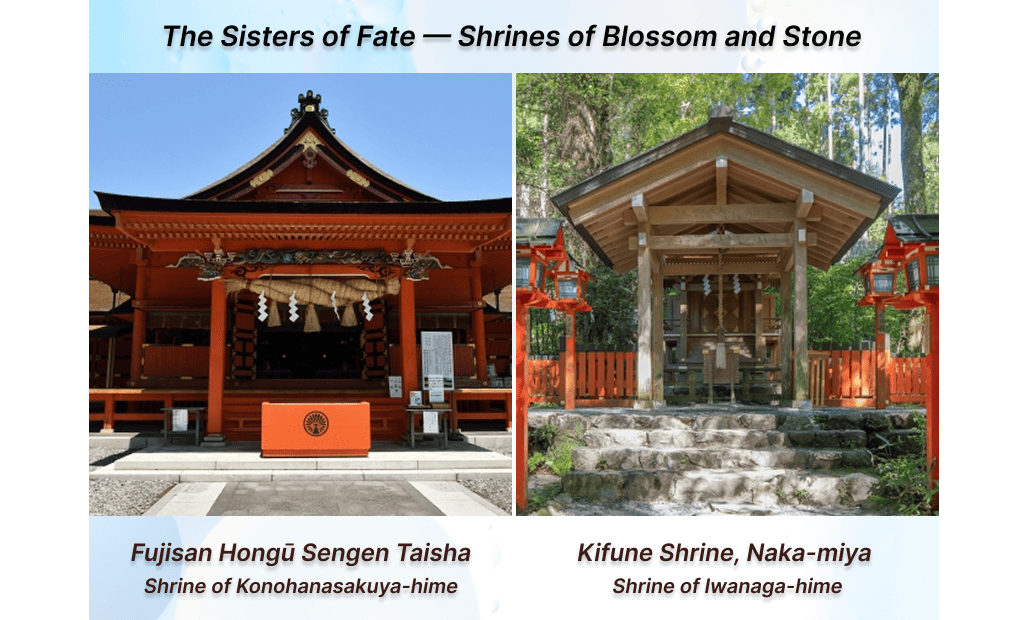 The Sisters of Fate — Shrines of Blossom and Stone