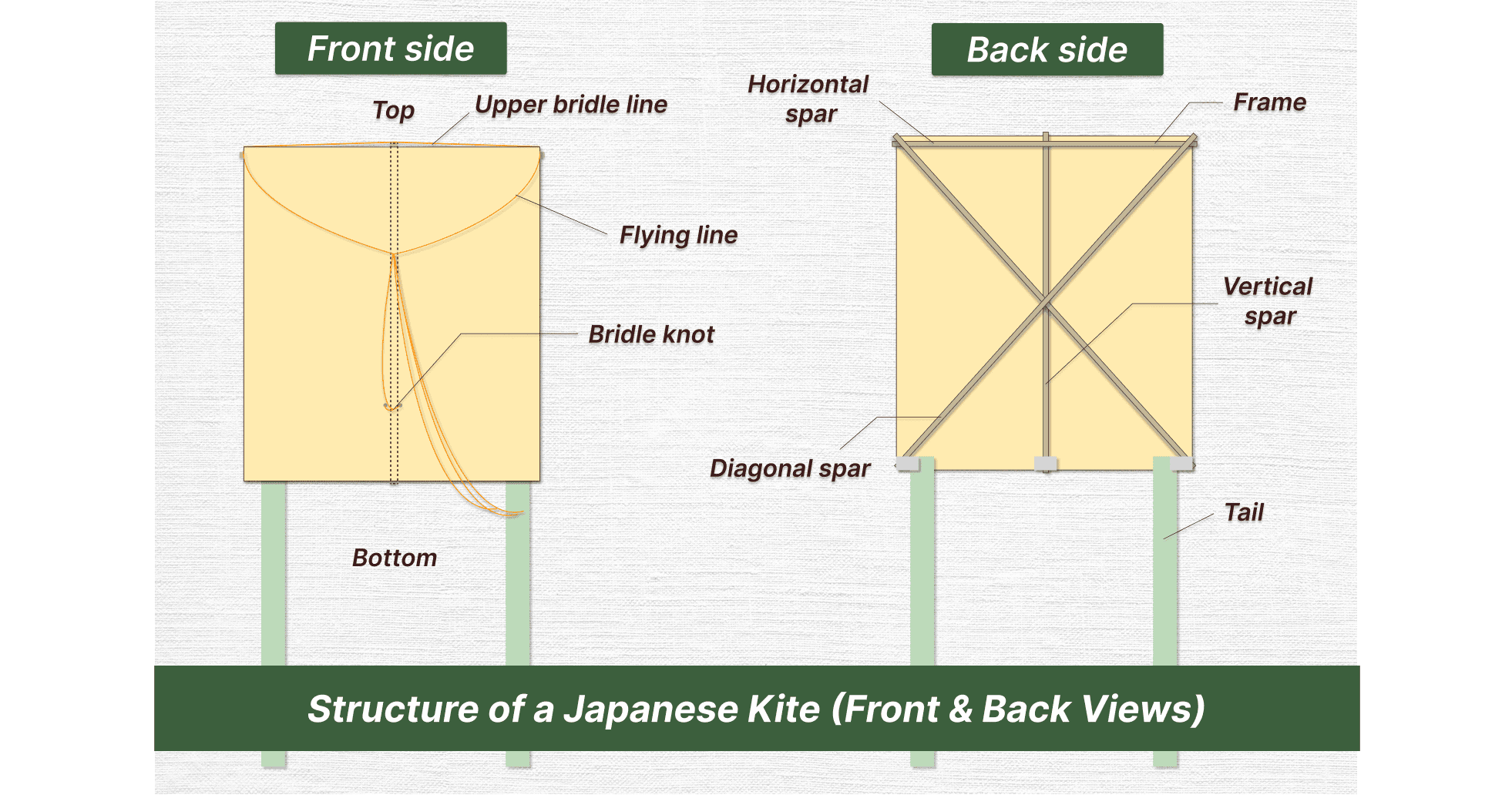 Structure of a Japanese Kite (Front & Back Views)